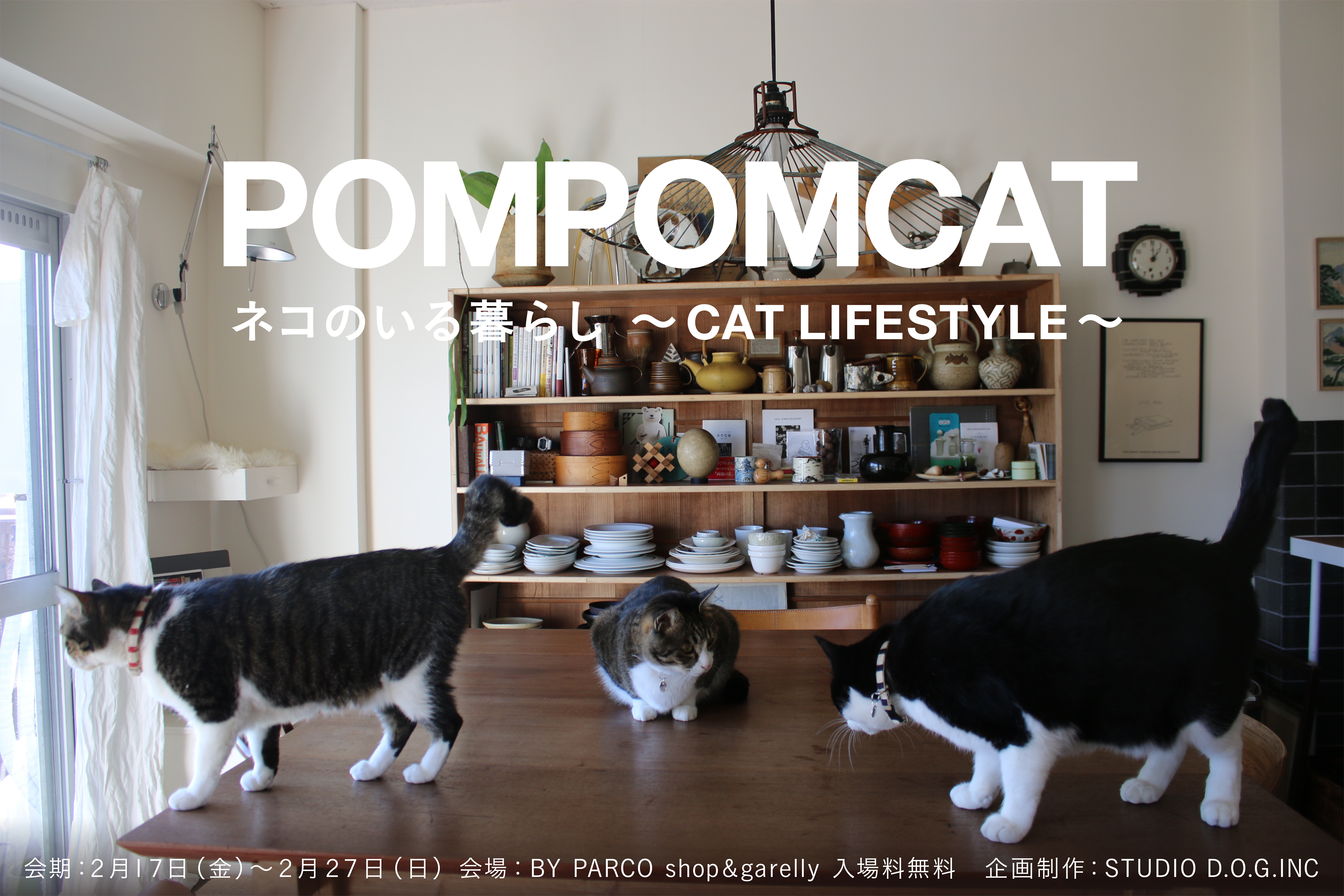 La発 Cat Lifestyleを発信するpompomcat ポンポンキャット の初 企画展 ネコのいる暮らし展 Cat Lifestyle を ネコの日に合わせてby Parcoで開催 株式会社パルコのプレスリリース