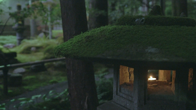 石川県で今最も注目されている観光スポット 苔の里 をライトアップするイベント 照苔の夕べ 実施レポート 石川県小松市のプレスリリース