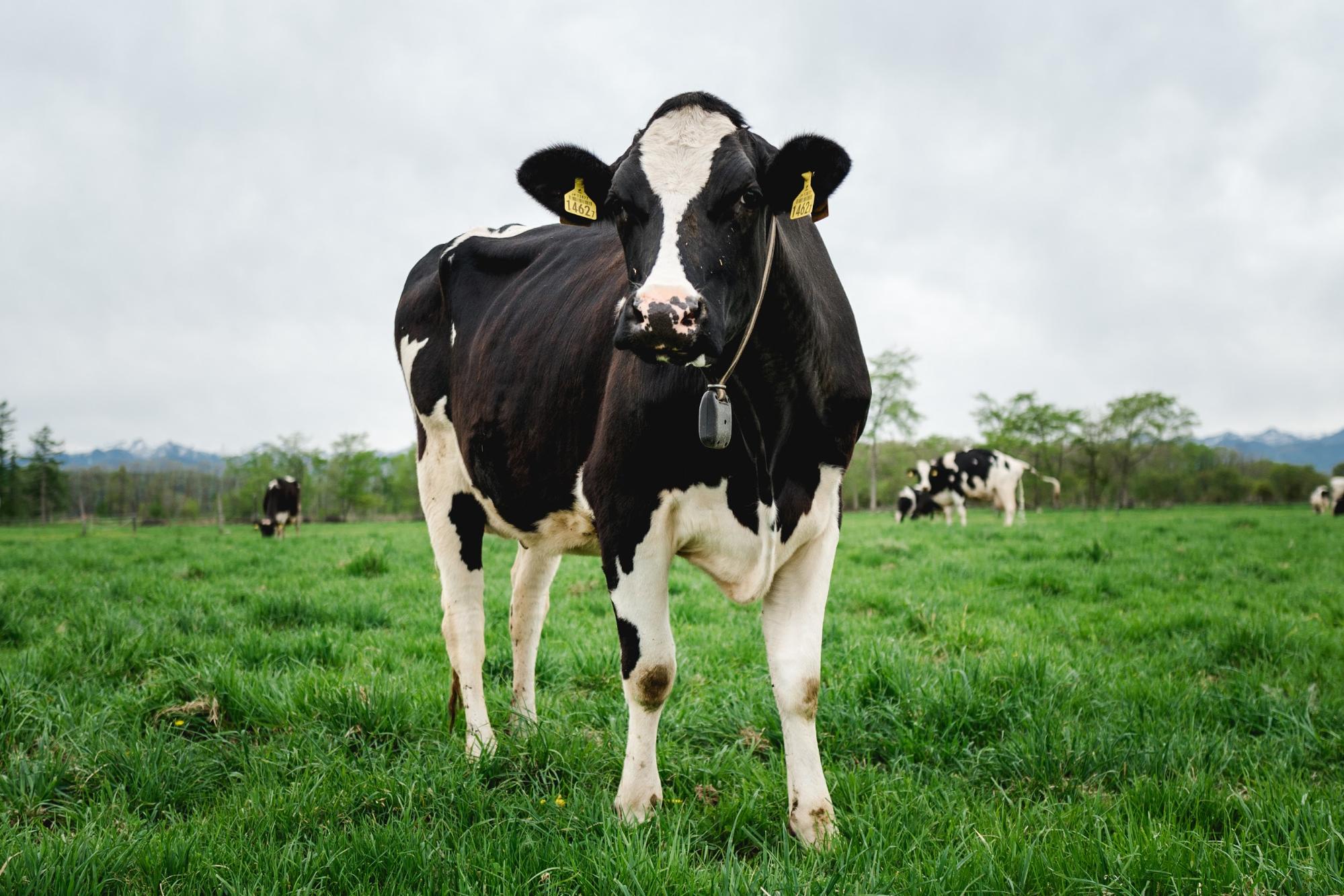 リアルテックファンド スマート農業 の実現を目指す 株式会社ファームノートホールディングス に出資を実施 リアルテックホールディングス株式会社のプレスリリース