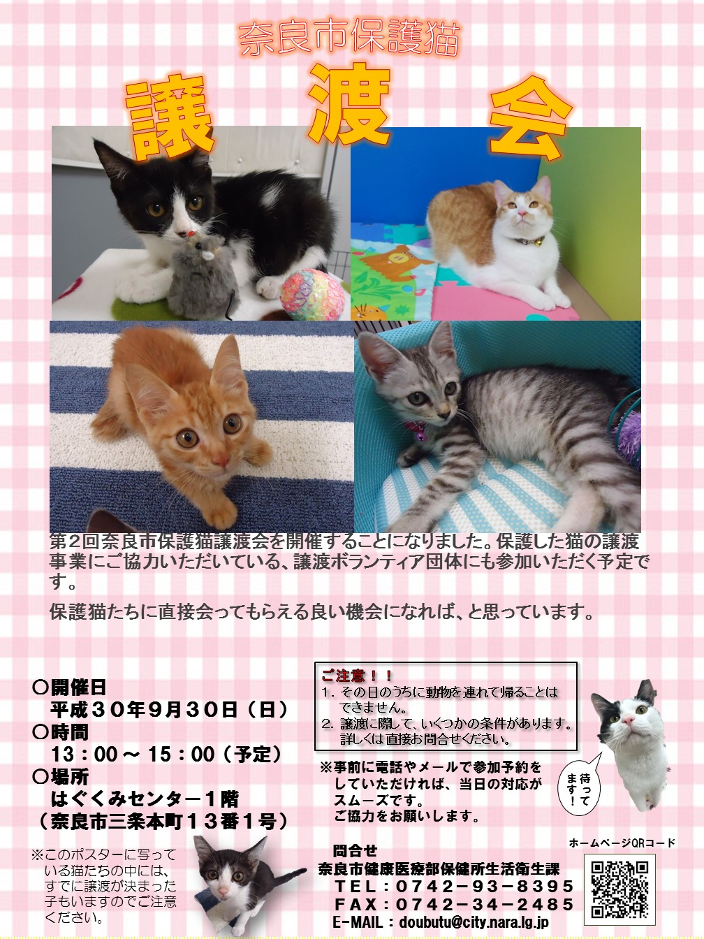 保健所で収容した犬猫たちと新しい生活を 第2回奈良市保護猫譲渡会を開催します 奈良市役所のプレスリリース