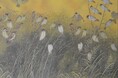【奈良市】公募展「第43回奈良市美術展覧会-市展なら-」開催