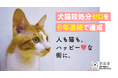 犬猫殺処分ゼロを6年連続で達成しました