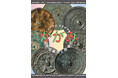 【奈良市】令和7年度 秋季特別展「かがみ―含水居蔵鏡と銅鏡史―」と埋蔵文化財講演会の開催