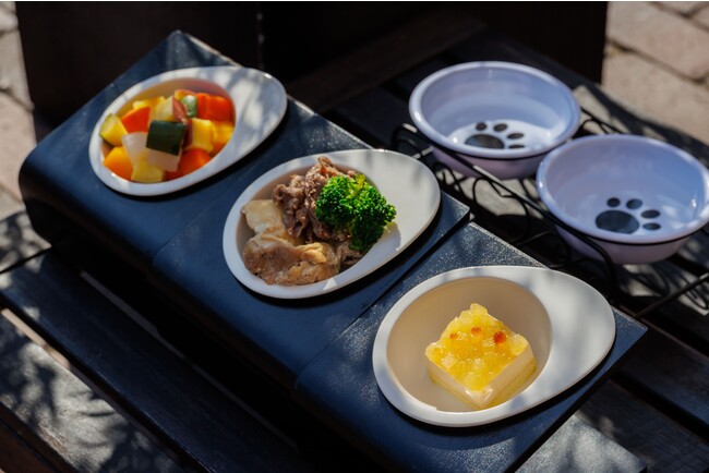 【ペットメニュー】Famille precieuse　※写真はイメージです。