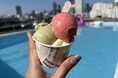 小豆島スイーツ「MINORI GELATO」が中之島GATE サウスピアに登場!