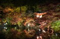 世界文化遺産・醍醐寺で秋の夜を特別体験