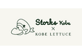 神戸ストークスのアパレルブランド「Storks Kobe」神戸発の人気ファッションブランド神戸レタスとの初コラボアイテムを発売