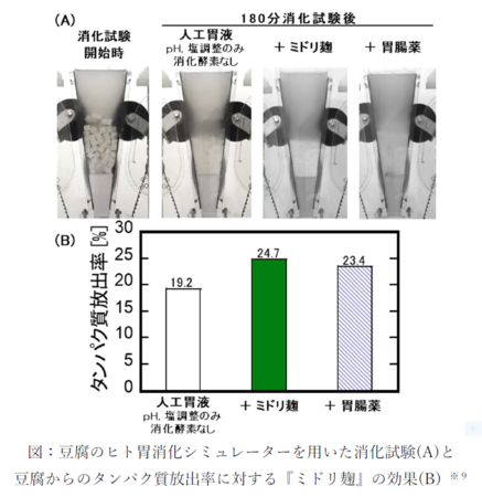 図：豆腐のヒト胃消化シミュレーターを用いた消化試験(A)と 豆腐からのタンパク質放出率に対する『ミドリ麹』の効果(B) ※９