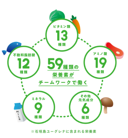 石垣島ユーグレナに含まれる栄養素