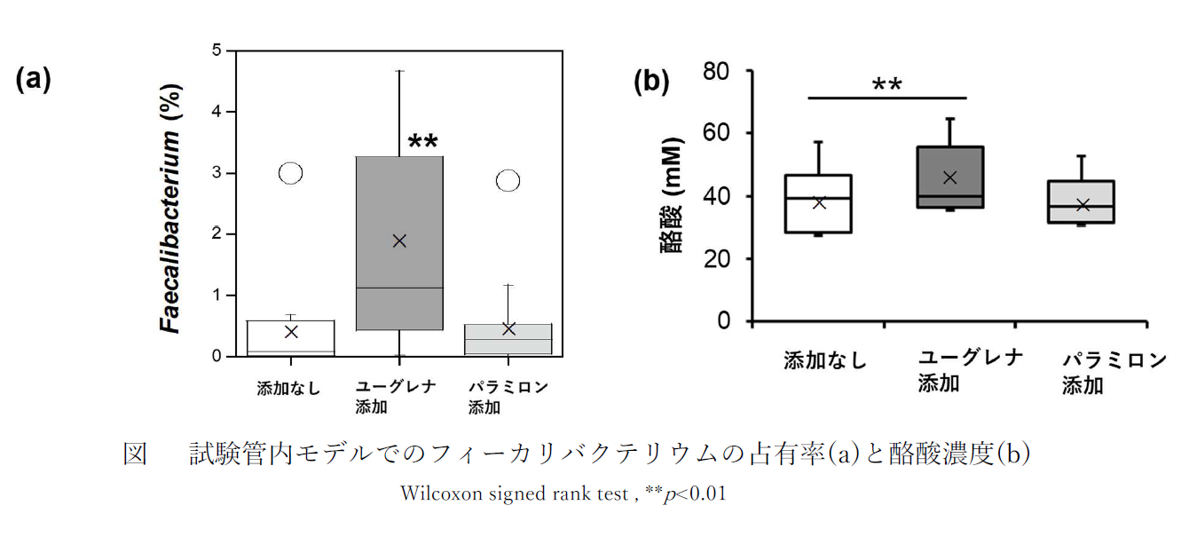 微細藻類ユーグレナが 免疫バランス調整等の可能性が注目される酪酸 らくさん を産生する腸内細菌の 占有率上昇および酪酸産生増加に寄与することを確認しました 株式会社ユーグレナのプレスリリース