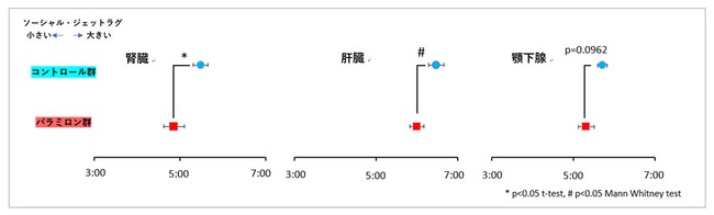 図3:ソーシャル・ジェットラグの状態にあるマウスのPER2のタンパク質発現リズムの位相 図3:ソーシャル・ジェットラグの状態にあるマウスのPER2のタンパク質発現リズムの位相