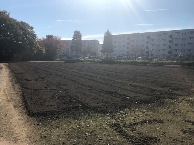 東京都農林総合研究センター内圃場