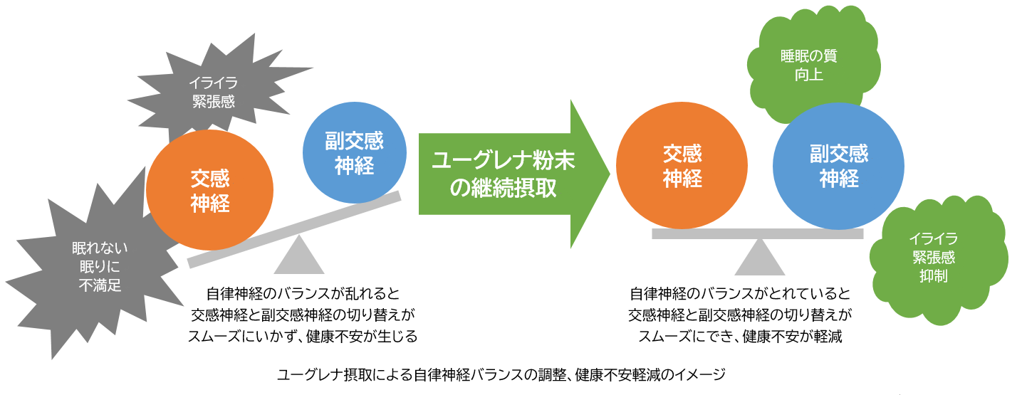 石垣島ユーグレナの継続摂取が 現代人が抱える複合的な健康不安を解決し根本から健康へ導く可能性があることを確認しました 株式会社ユーグレナのプレスリリース