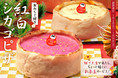 【2022年新春限定】金箔をあしらった″おめでたいシカゴピザ″「紅白シカゴピザ」を食べてお正月を豪華に過ごそう！