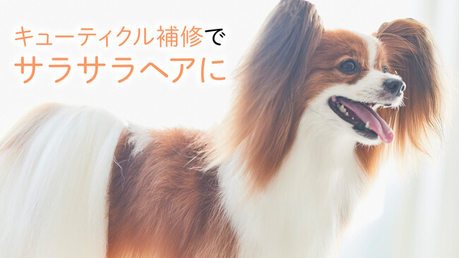 The Mate Tokyo】ロングコート犬にもオススメ！“サラつや