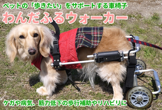 犬用 歩行補助具 ドギーサポーター 犬用補助車 専用ハーネス セット 