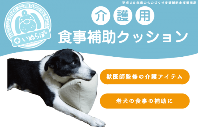 シニア犬通販サイト ペットベリー にてオリジナル介護用品のsaleが11月1日よりスタート 株式会社アールオーエヌのプレスリリース