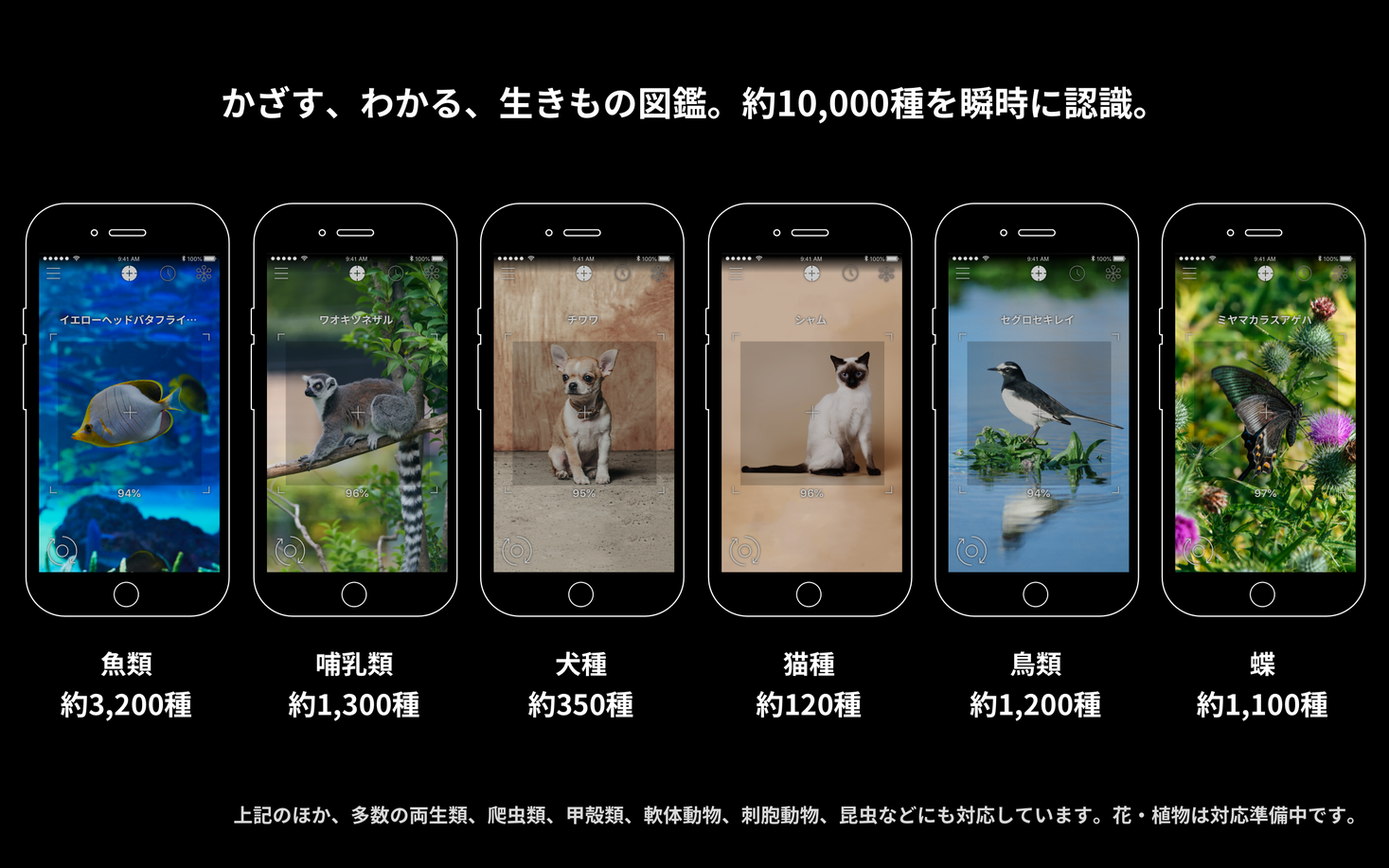 かざすai図鑑 Linne Lens Android版を提供開始 価格も買い切り480円に変更 Linne株式会社のプレスリリース