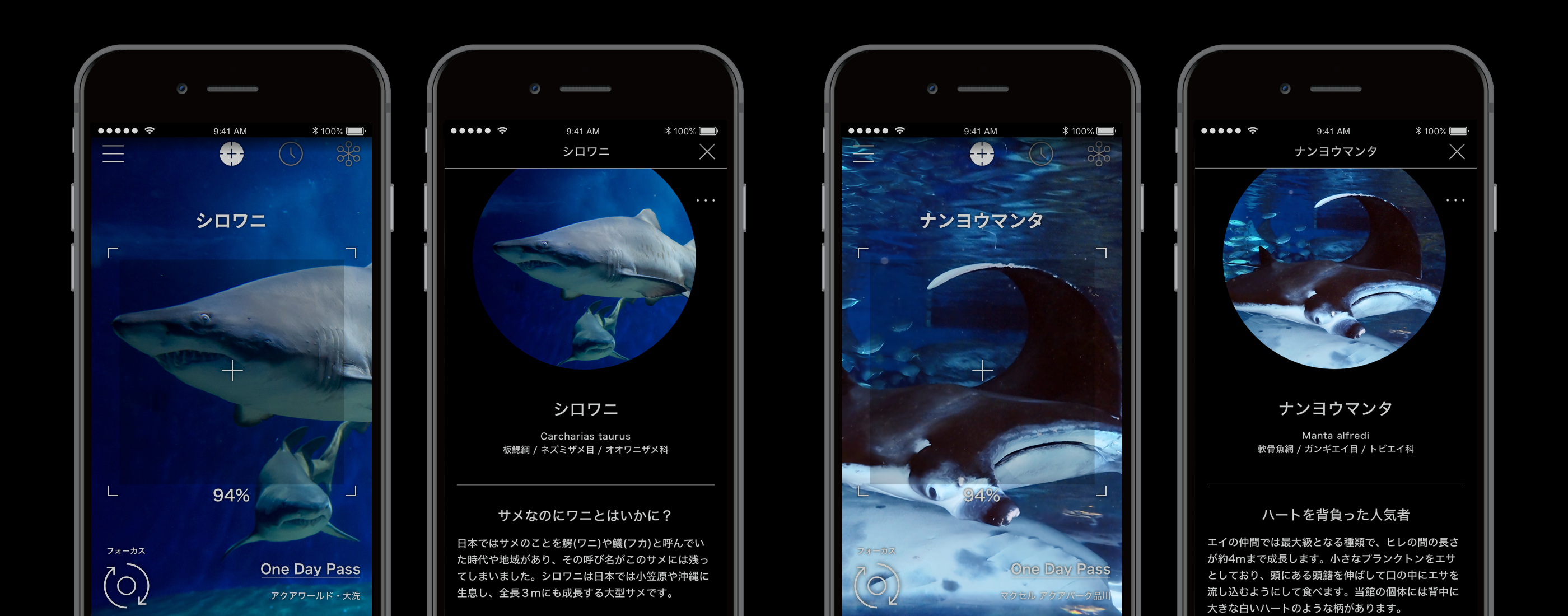 Linne Lensがマクセル アクアパーク品川とアクア ワールド茨城県大洗水族館と提携し 施設内無料使い放題サービスを開始 Linne株式会社のプレスリリース