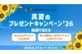 抽選でAmazonギフトカード3,000円分などをプレゼント！クリエイターのための情報サイト「CREATIVE VILLAGE」真夏のプレゼントキャンペーン’26がスタート!!