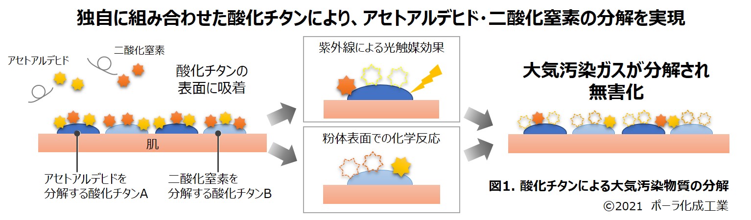 ガス状の大気汚染物質を分解する製剤技術を開発 独自の酸化チタンが 炎症をもたらす成分から肌を守る ポーラのプレスリリース