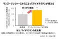 筋肉の細胞に働きかけ「マイオネクチン」を増やすエキスを発見　「マイオネクチン」に、シミなどの予防・改善につながる複数の働きを確認