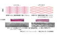 第2回日本化粧品技術者会学術大会にて発表 ゆずの残さから抽出したエキスにデスモソームを減少させる研究成果を報告