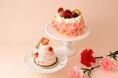 母の日を華やかに彩る特別なケーキ。ショコラ専門店「ベルアメール」から、苺が主役のプチガトーや花のようなルックスのアントルメが期間限定で登場!