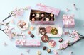 桜が香る、日本の春ショコラ。ベルアメール「Sakura Collection 2026」