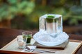“氷の器”で愉しむアイス抹茶ラテ─ハイアット リージェンシー 京都 「カフェ 33」の人気シリーズ第2弾、8月5日(火)より提供開始