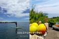 「ひとりだけど、ひとりじゃない」体験イベントを熱海にて6月開催。ひとり旅プラットフォーム『ソロトリ』が梅シロップ仕込み&ご褒美スイーツ体験・SUP体験の2日程