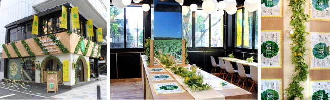 「Q’SAI Kale Cafe(キューサイケールカフェ)　表参道」店舗の様子