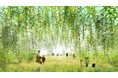 東邦レオ、GREEN×EXPO 2027でパナソニックパビリオン「ノモの国」をリユース