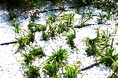 ゲリラ豪雨と猛暑に強く、子どもやペットにやさしいまちへ "雨を貯めて冷やす地面"が2日間限定で登場 ～10月９日（金）・10日（土）開催「KANDAフェス2026」にて～