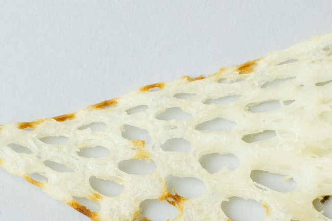 Food Shaping the Future