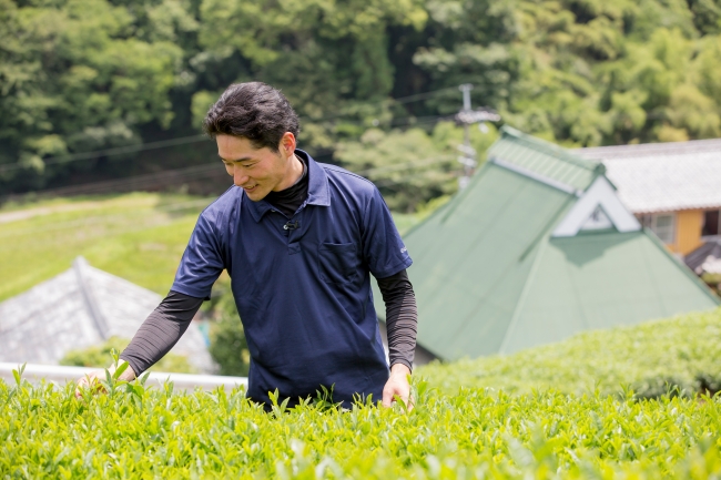 お茶農家　小山さん