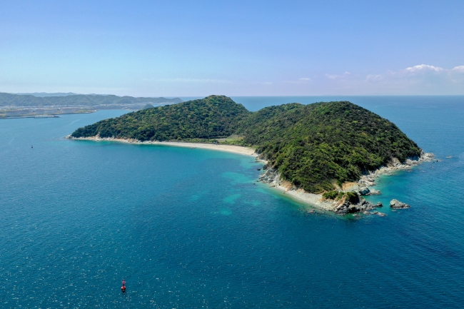 ゆるやかな時が流れる無人島「地ノ島」。夏は親子が賑わう海水浴場としても人気で、和歌山一透明度の高い海としても有名です