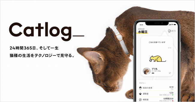 Catlog キャトログ と 家族向けフォトブック作成アプリ ノハナ がコラボキャンペーンを開始 Catlogオリジナル表紙デザインのフォトブックが１冊無料に Rabo Inc のプレスリリース