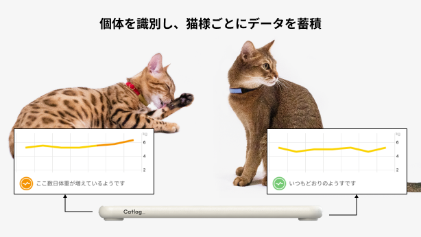 Catlog®（キャトログ）第2弾プロダクト『Catlog Board』を発表！いつも 