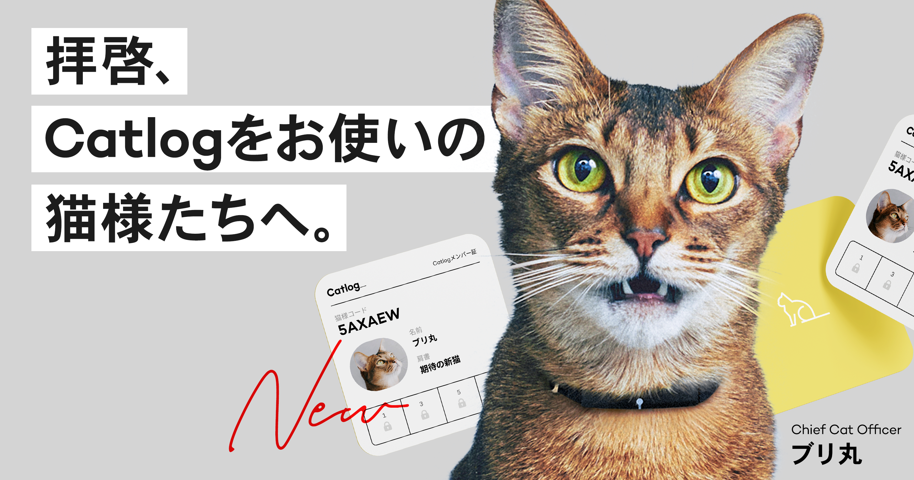 拝啓、Catlogをお使いの猫様たちへ。Catlogメンバー証を発行いたしまし