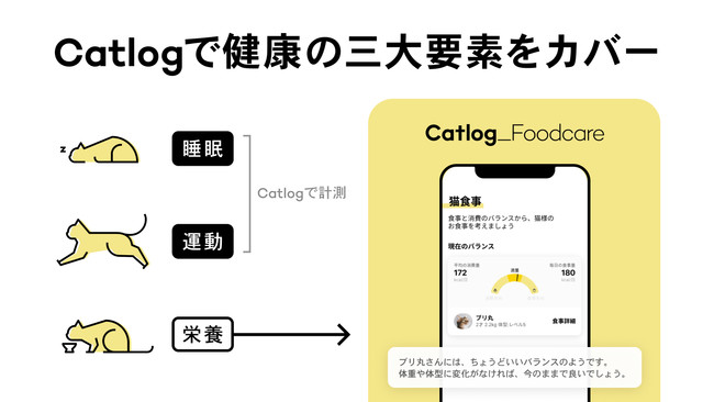 Catlog キャトログ 12億件を超える猫様データを活用し 猫様のお食事をテクノロジーでサポートする Catlogフードケア をリリース Rabo Inc のプレスリリース