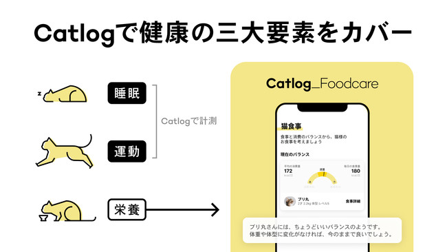 Catlog®（キャトログ）12億件を超える猫様データを活用し、猫様のお