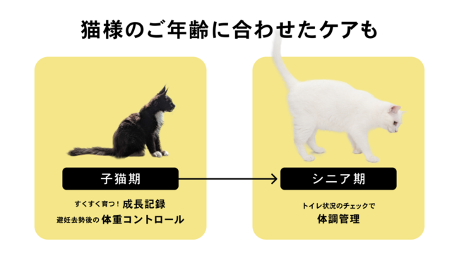 Catlog Board』がローンチ＆一般販売を開始！猫様ご愛用のトイレを