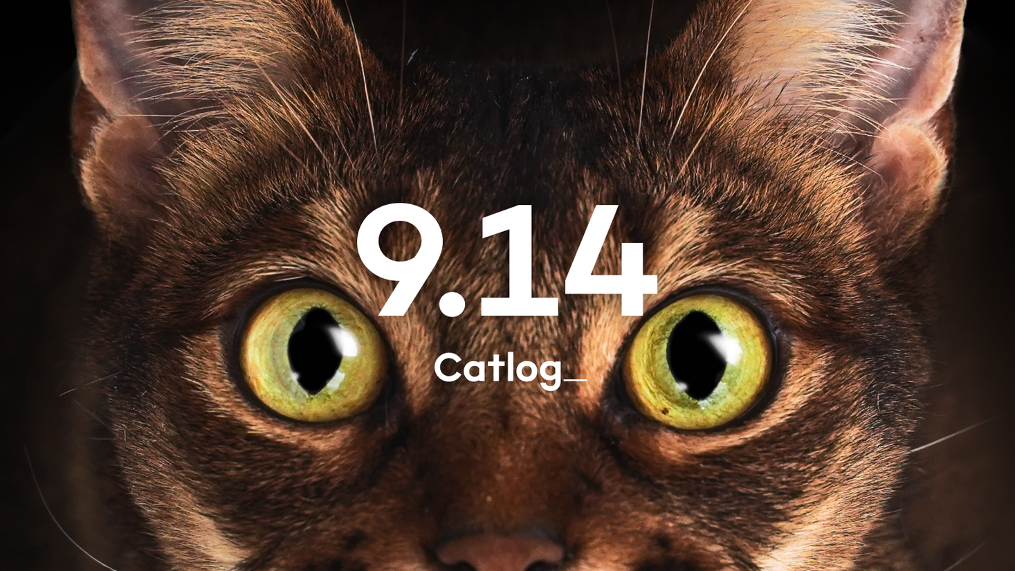 Catlog、２０２２年９月１４日に大アップデート！デバイス価格を値下げ
