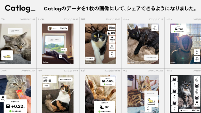 社内猫様方のシェア画像例。可愛いお写真と一緒にCatlogのデータをシェアしましょう