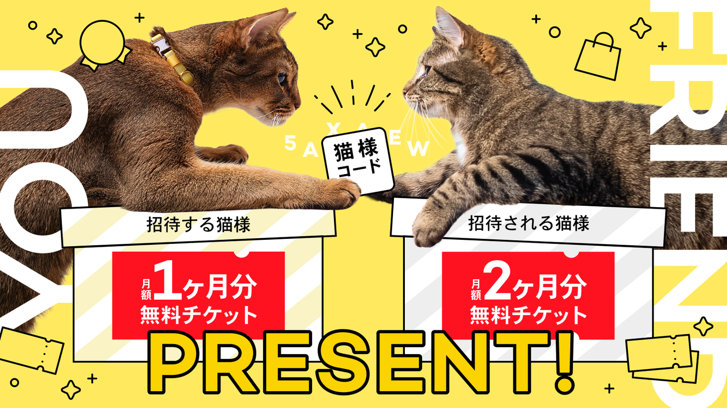 Catlog®︎に猫様を招待できる『猫様コード』がパワーアップ 招待