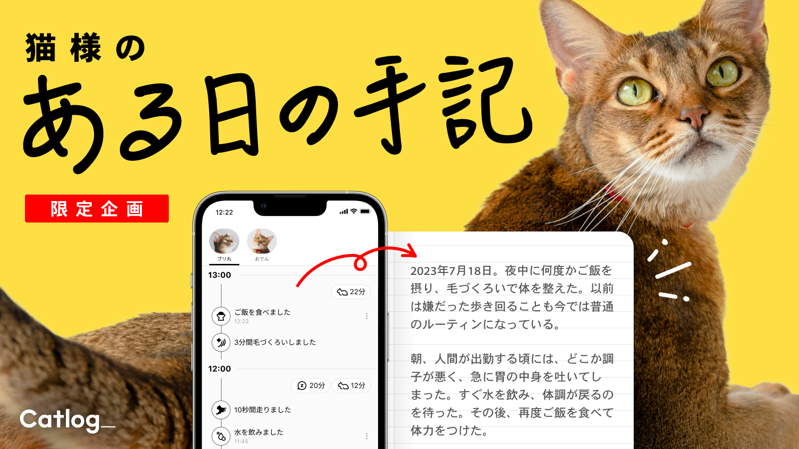 Catlog®のデータが猫様からの日記に！猫様から飼い主さんにあてた『猫