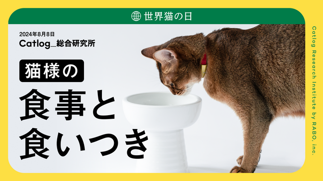 世界猫の日（8月8日）に猫様のQOLに関する調査「猫様の食事と食いつき」のレポートを発表！ | ORICON NEWS