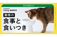 世界猫の日（8月8日）に猫様のQOLに関する調査「猫様の食事と食いつき」のレポートを発表！
