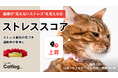 猫様の“見えないストレス”を見える化するストレススコア機能がスマート猫首輪Catlog®(キャトログ)へ追加!